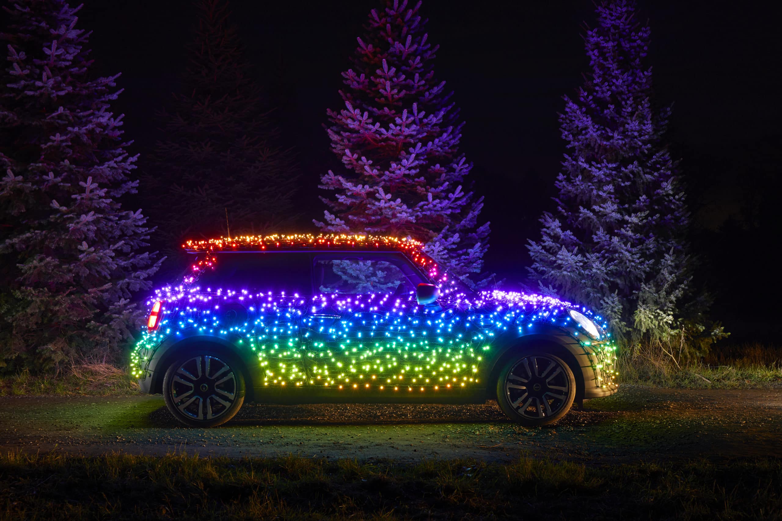 Festive Mini Electric